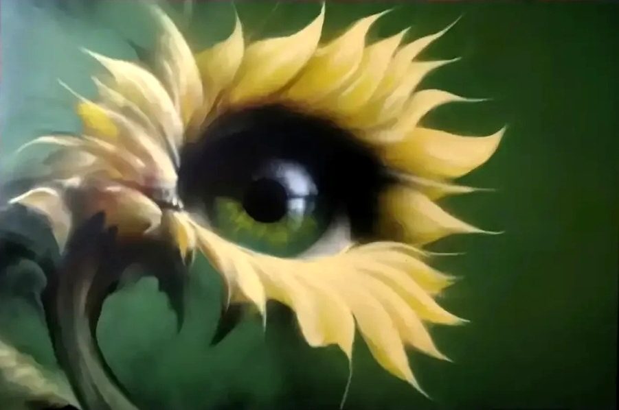Brighteyes