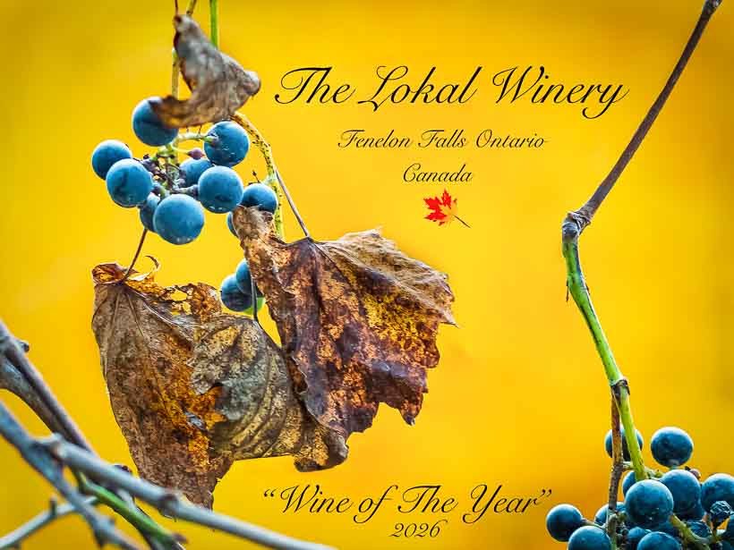 The Art of Winemaking Then and Now